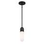 4_Brian Patrick Flynn Capsule 1 Light Matte Black + Gold Mini Pendant more views