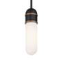 5_Brian Patrick Flynn Capsule 1 Light Matte Black + Gold Mini Pendant more views