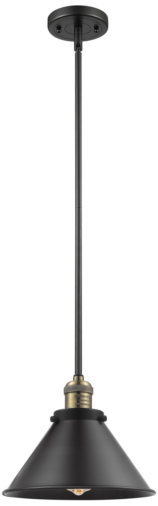 Briarcliff 10" LED Mini Pendant - Black Antique Brass - Matte Black Sh