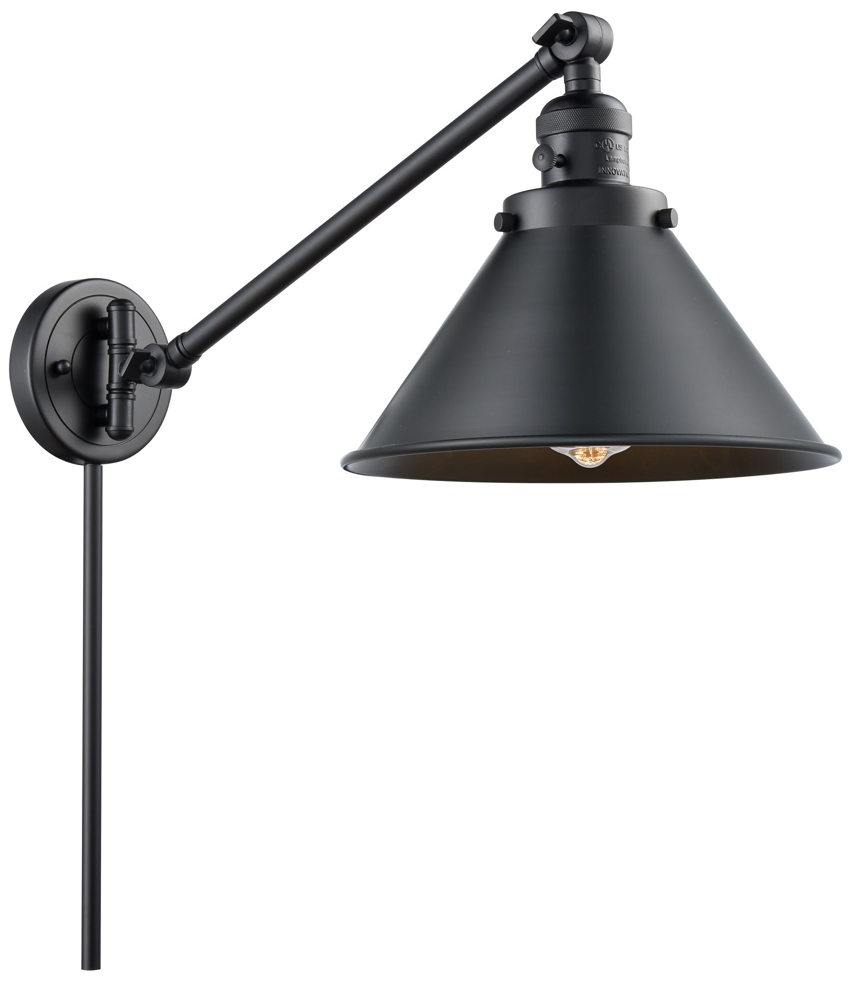 Briarcliff 10" Matte Black LED Swing Arm With Matte Black Made to Order