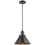 2_Briarcliff 10" Oil Rubbed Bronze Cord Hung Mini Pendant