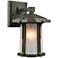 Brighton 10" High Smoked Bronze Outdoor Wall Light