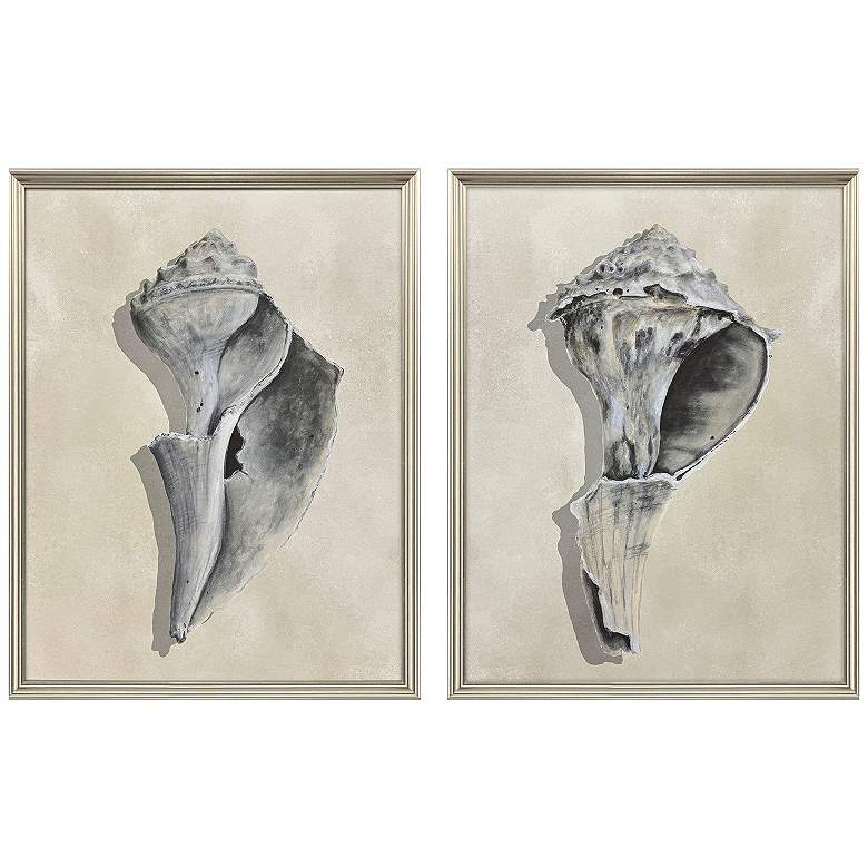 Image 2 Broken Shells I 21"W x 27"H Framed Art - Set of 2