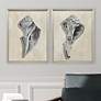 1_Broken Shells I 21"W x 27"H Framed Art - Set of 2