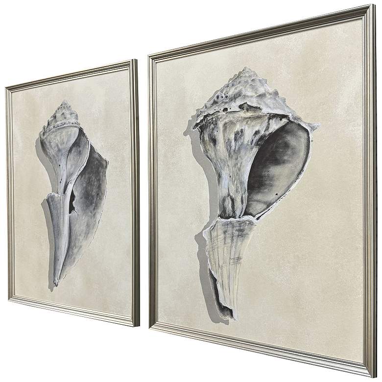 Image 3 Broken Shells I 21"W x 27"H Framed Art - Set of 2 more views