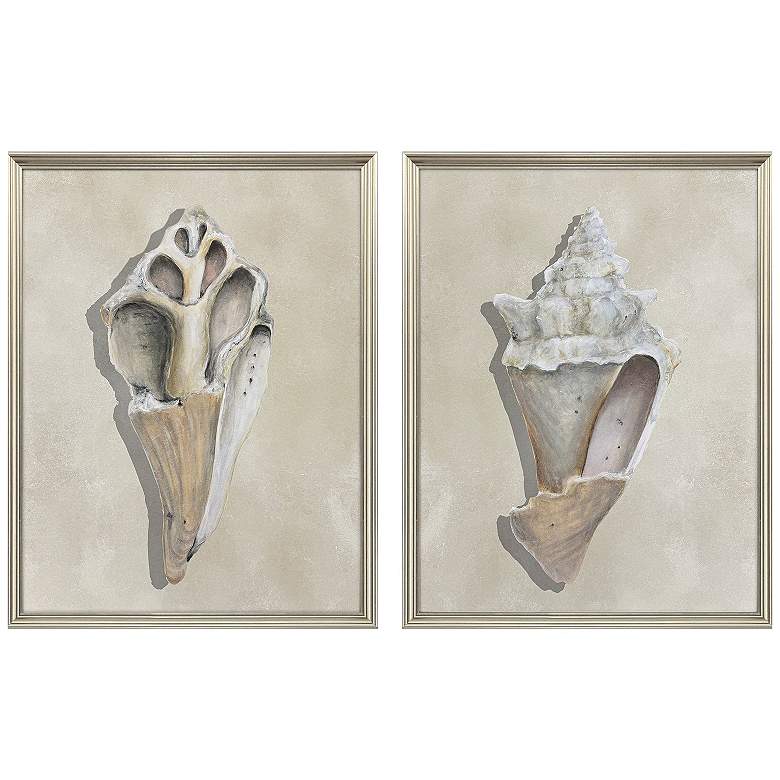 Image 2 Broken Shells II 21"W x 27"H Framed Art - Set of 2