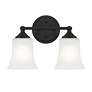 3_Bronson 13.25" Wide 2-Light Matte Black Transitional Vanity Light Bar more views