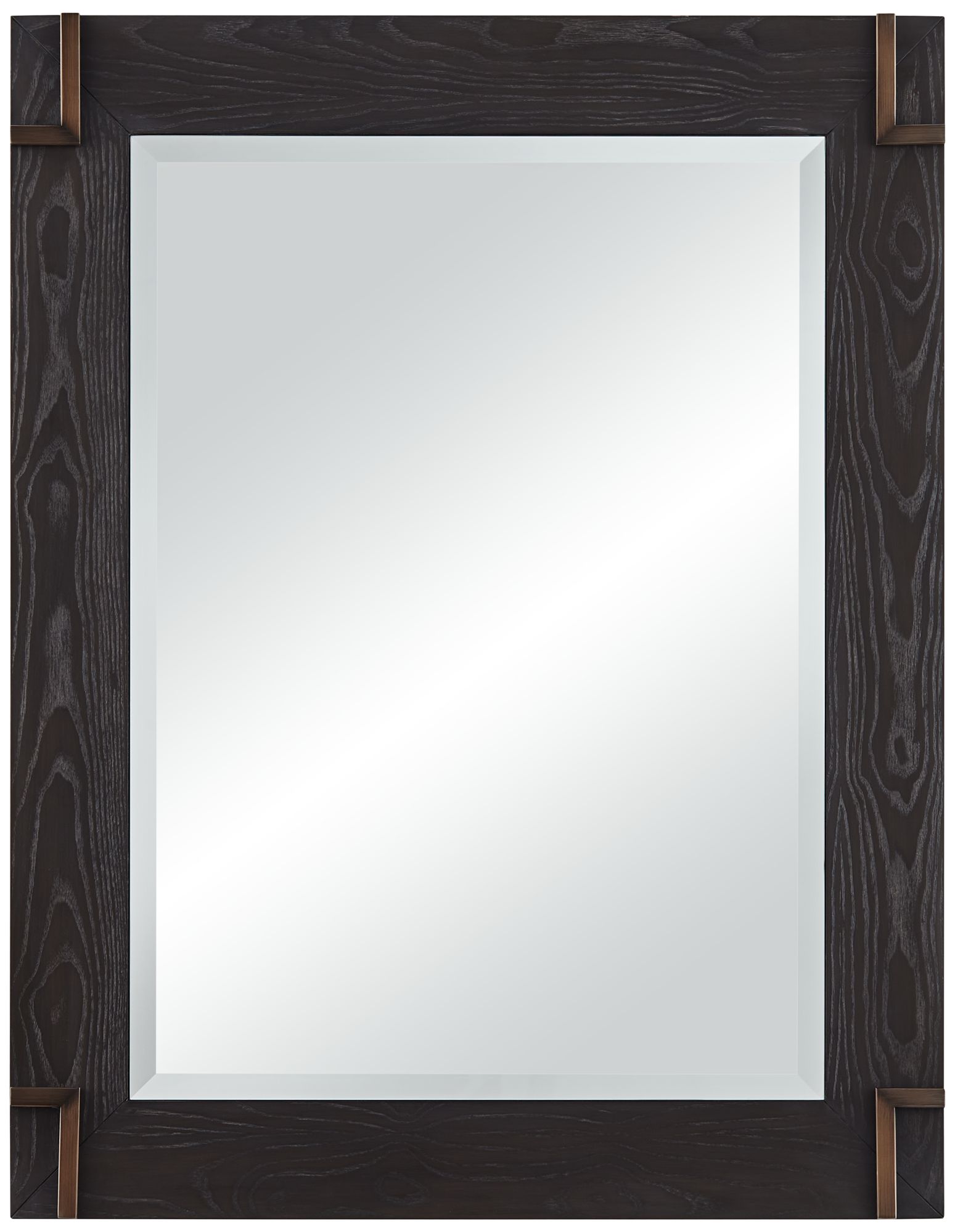 Bronson Matte Dark Bronze 28" x 36" Rectangular Wall Mirror