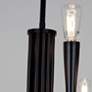 7_Bronte 25.25" Wide 9-Light Black Chandelier more views