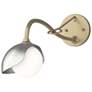 Brooklyn 1-Light Single Shade Sconce - Gold - Sterling - Opal Glass