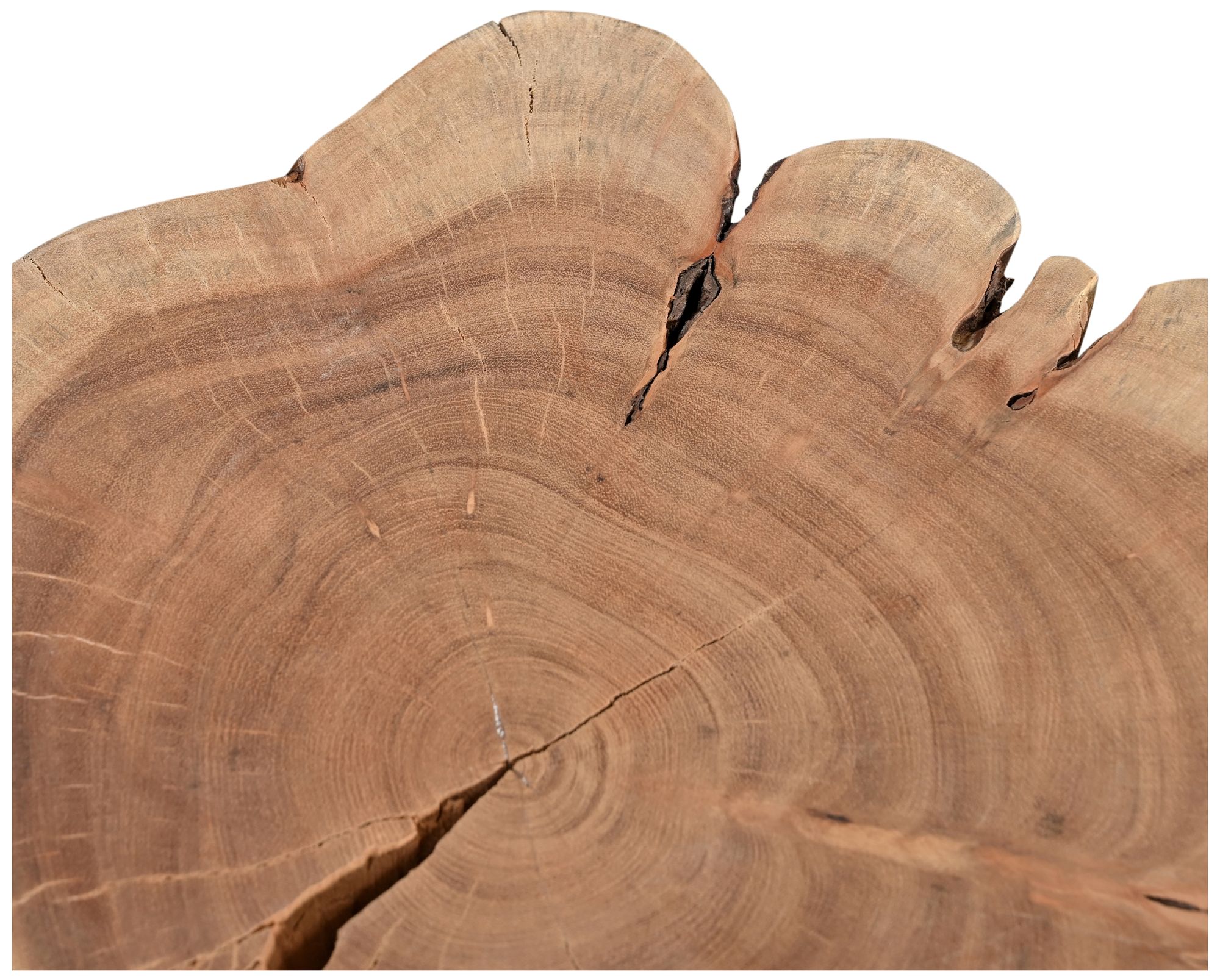 Image 3 Brooks Solid Wood Stump 13" Wide Teak Accent Stool more views