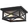 Brookside 12" Wide Black 2-Light Outdoor Ceiling Light