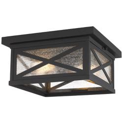 Brookside 12" Wide Black 2-Light Outdoor Ceiling Light
