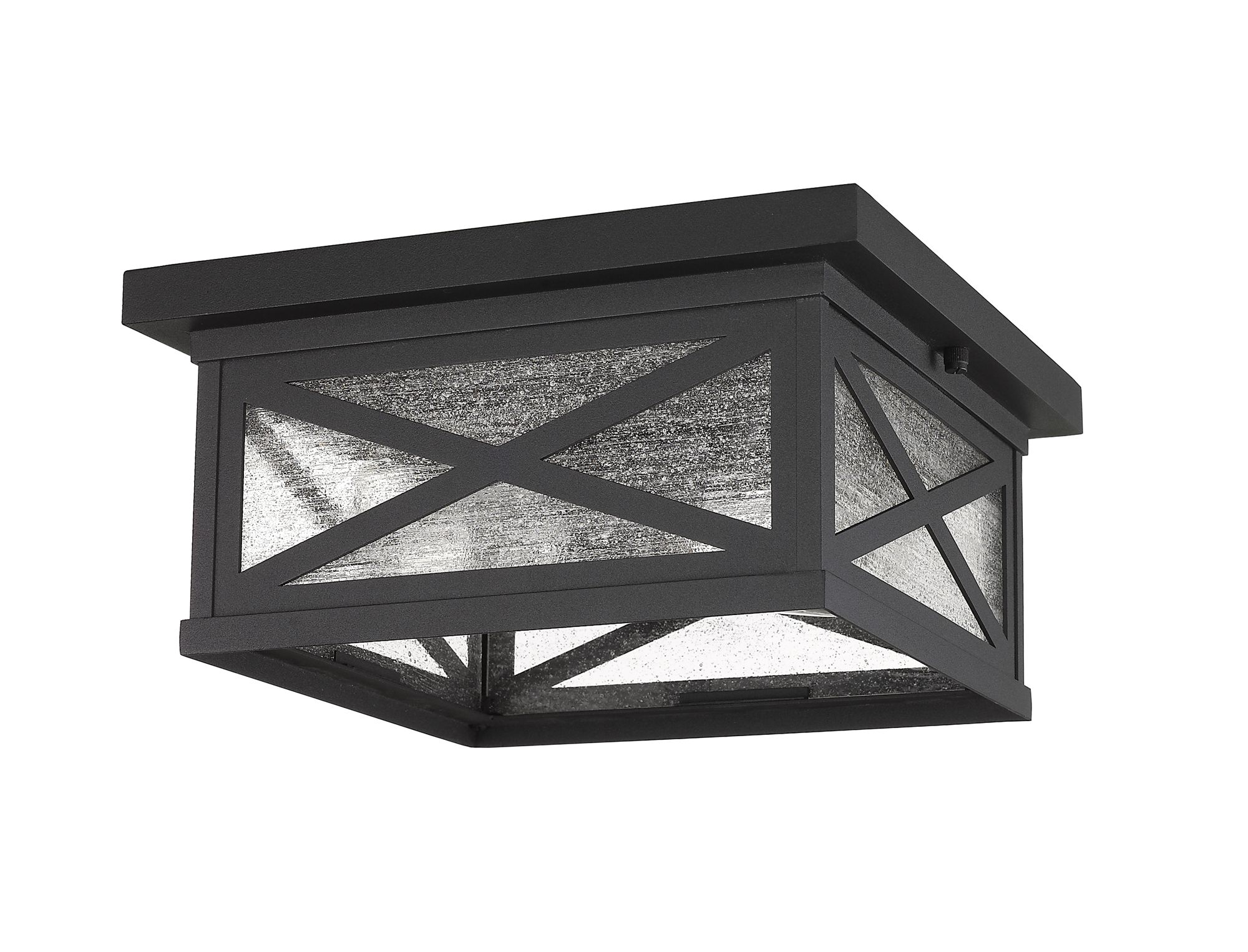 Brookside 12" Wide Black 2-Light Outdoor Ceiling Light in scene