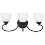 3_Brookside 22 3/4" Wide Black 3-Light Vanity Bath Light