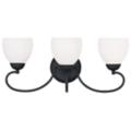 Livex Lighting Brookside Collection