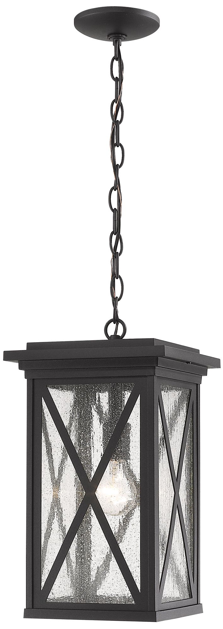 Brookside by Z-Lite Black 1 Light Outdoor Chain Mount Ceiling Fixture