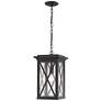 Brookside by Z-Lite Black 1 Light Outdoor Chain Mount Ceiling Fixture