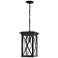 Brookside by Z-Lite Black 1 Light Outdoor Chain Mount Ceiling Fixture