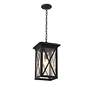 6_Brookside by Z-Lite Black 1 Light Outdoor Chain Mount Ceiling Fixture more views