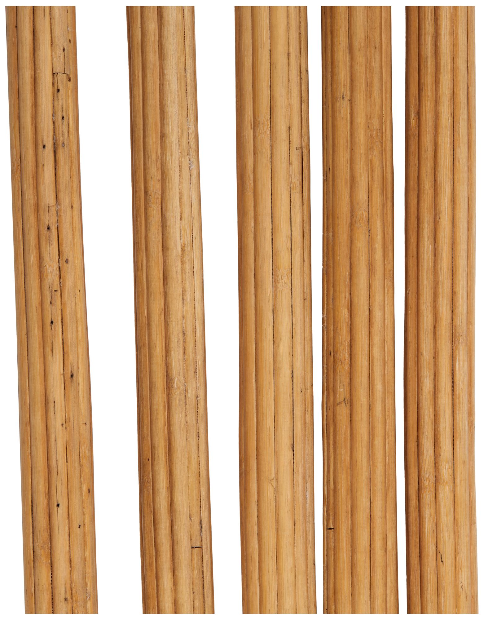Image 2 Brown Bamboo Wood Traditional Natural Foliage, S/5 71"H more views