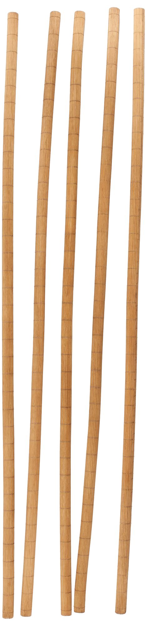 Image 5 Brown Bamboo Wood Traditional Natural Foliage, S/5 71"H more views