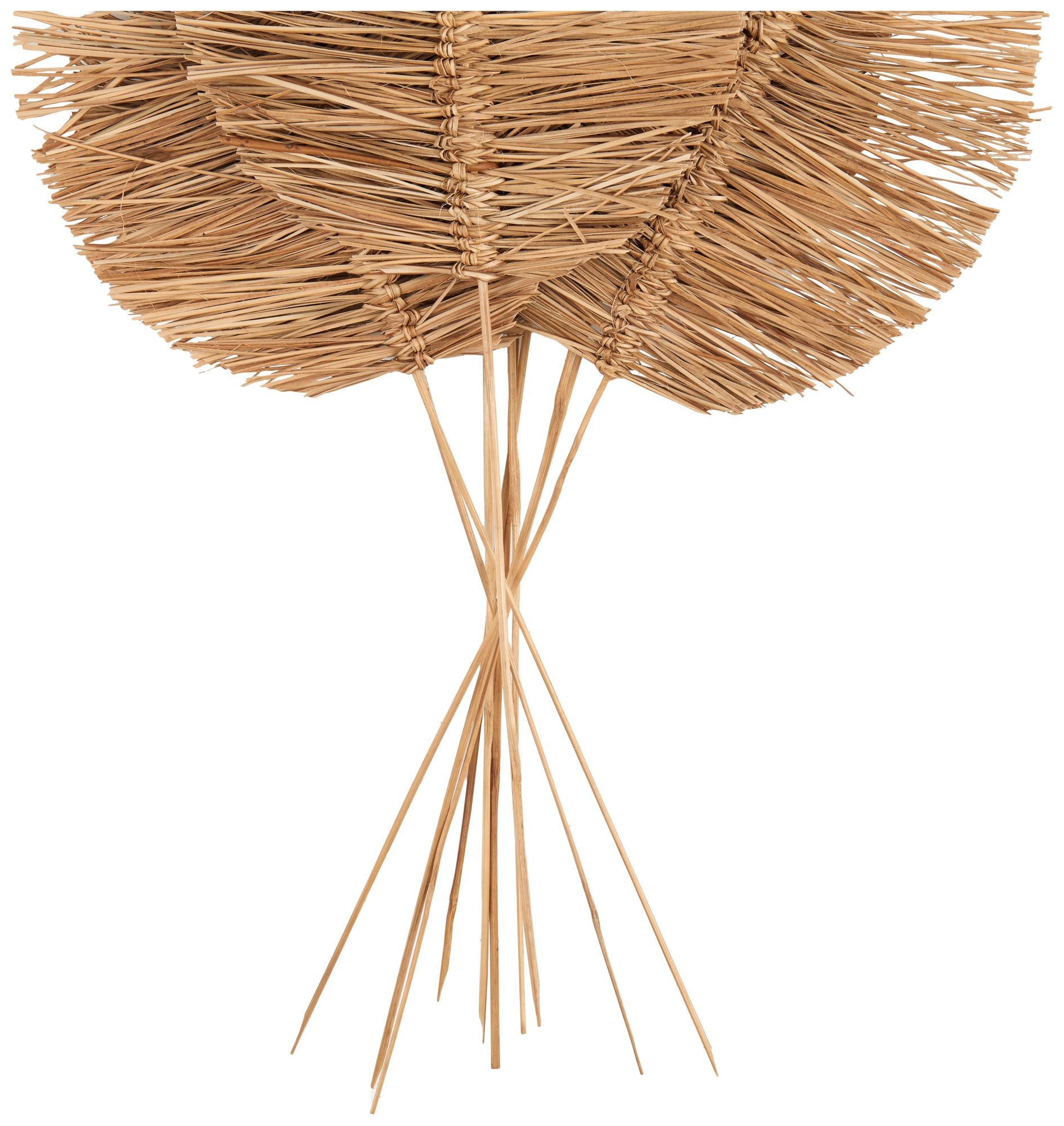 Image 2 Brown Dried Plant Coastal Natural Foliage, 17" x 7" x 32" more views