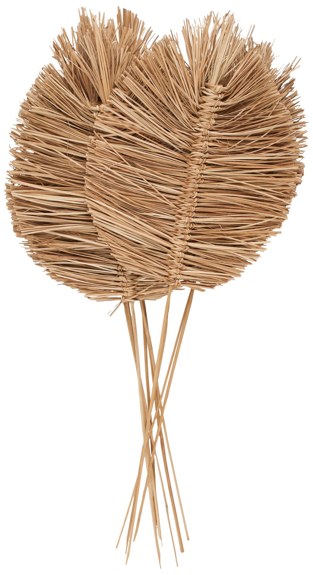 Image 5 Brown Dried Plant Coastal Natural Foliage, 17" x 7" x 32" more views