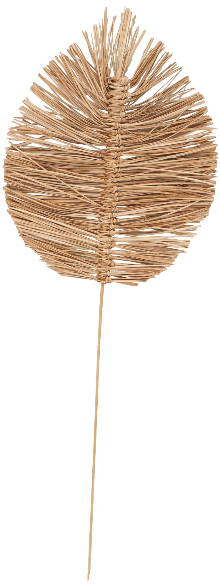 Image 6 Brown Dried Plant Coastal Natural Foliage, 17" x 7" x 32" more views