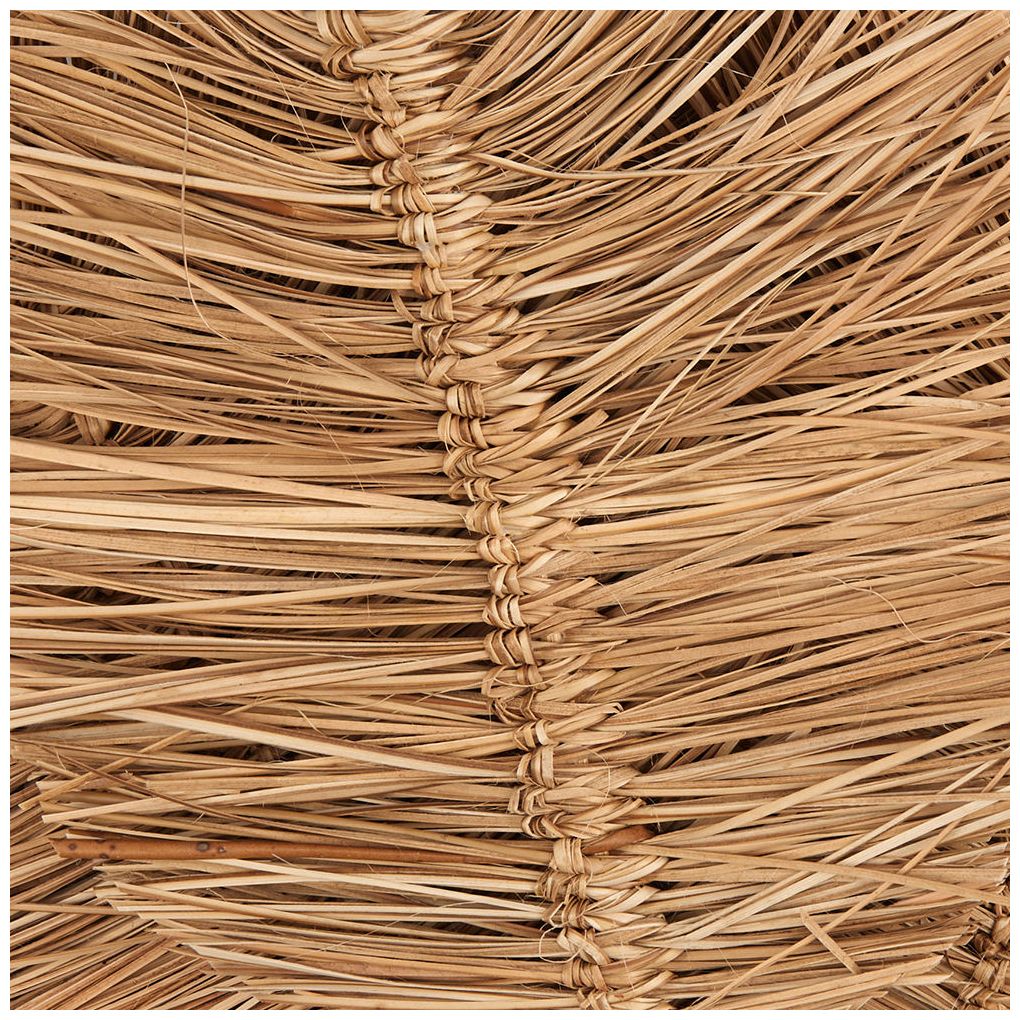 Brown Dried Plant Coastal Natural Foliage, 17" x 7" x 32"