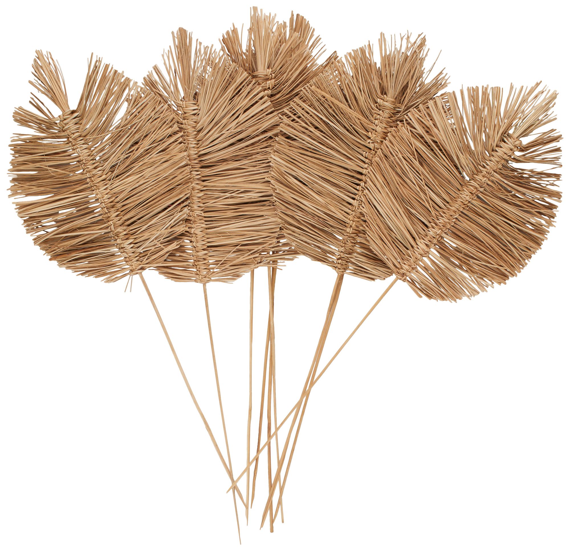 Brown Dried Plant Coastal Natural Foliage, 17" x 7" x 32"