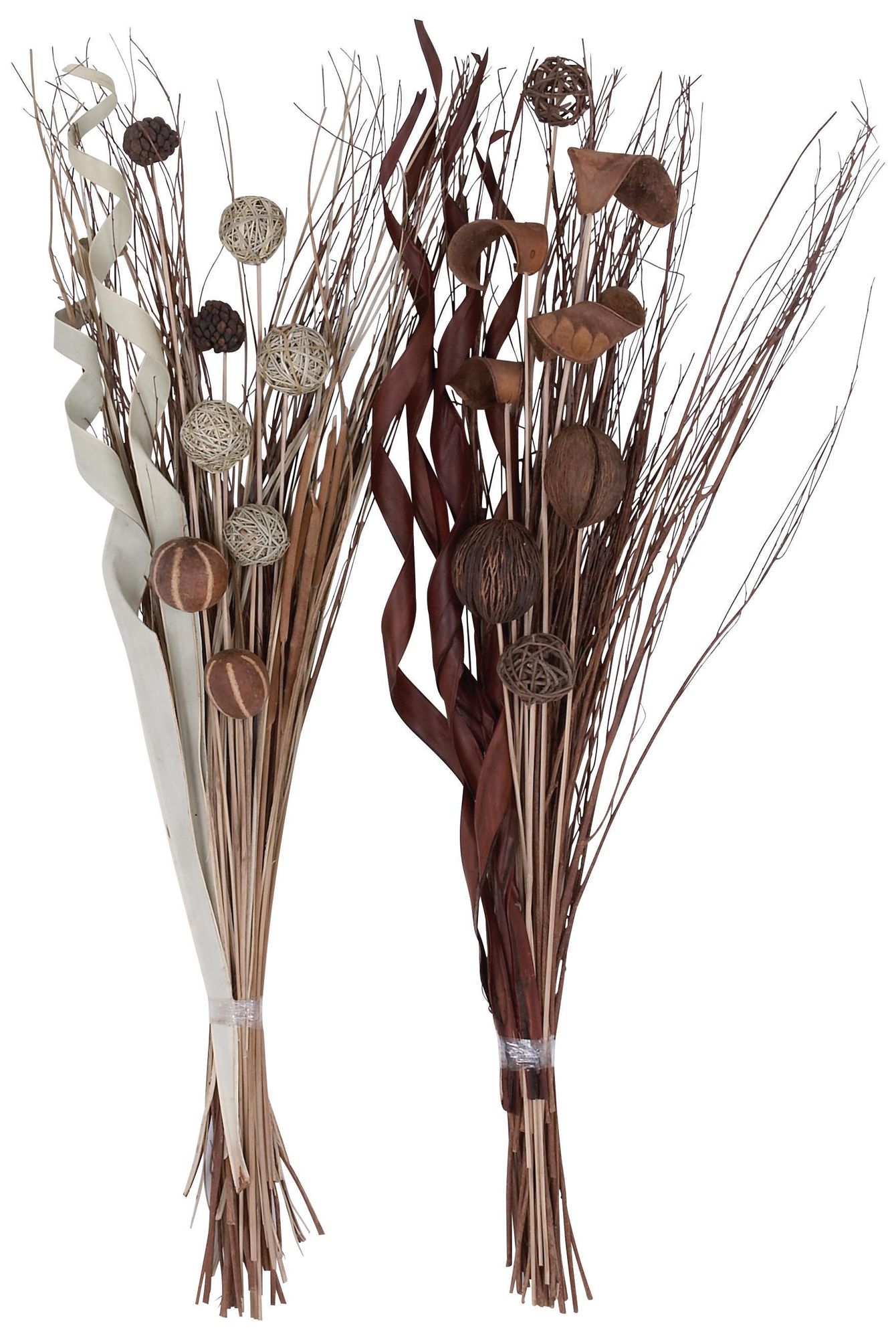 Image 2 Brown Dried Plant Coastal Natural Foliage, S/2 46"H, 15"W