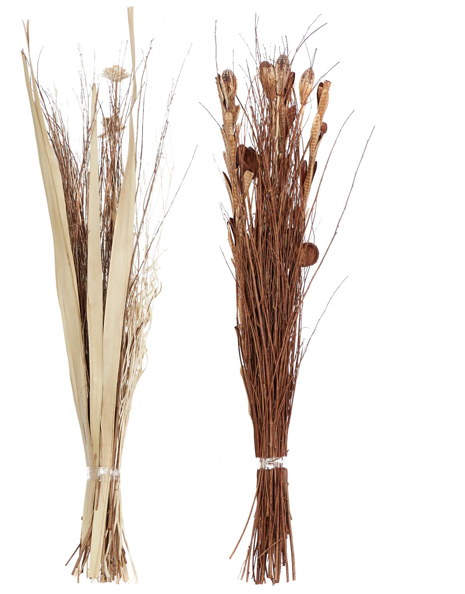 Image 5 Brown Dried Plant Coastal Natural Foliage, S/2 46"H, 15"W more views