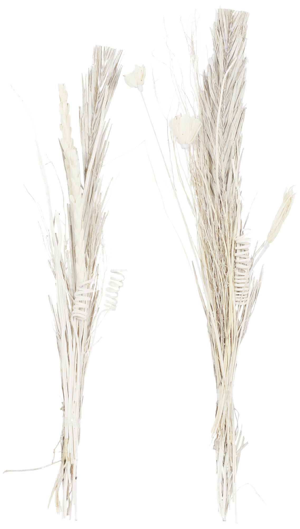 Image 2 Brown Dried Plant Coastal Natural Foliage, S/2 7"W, 56"H