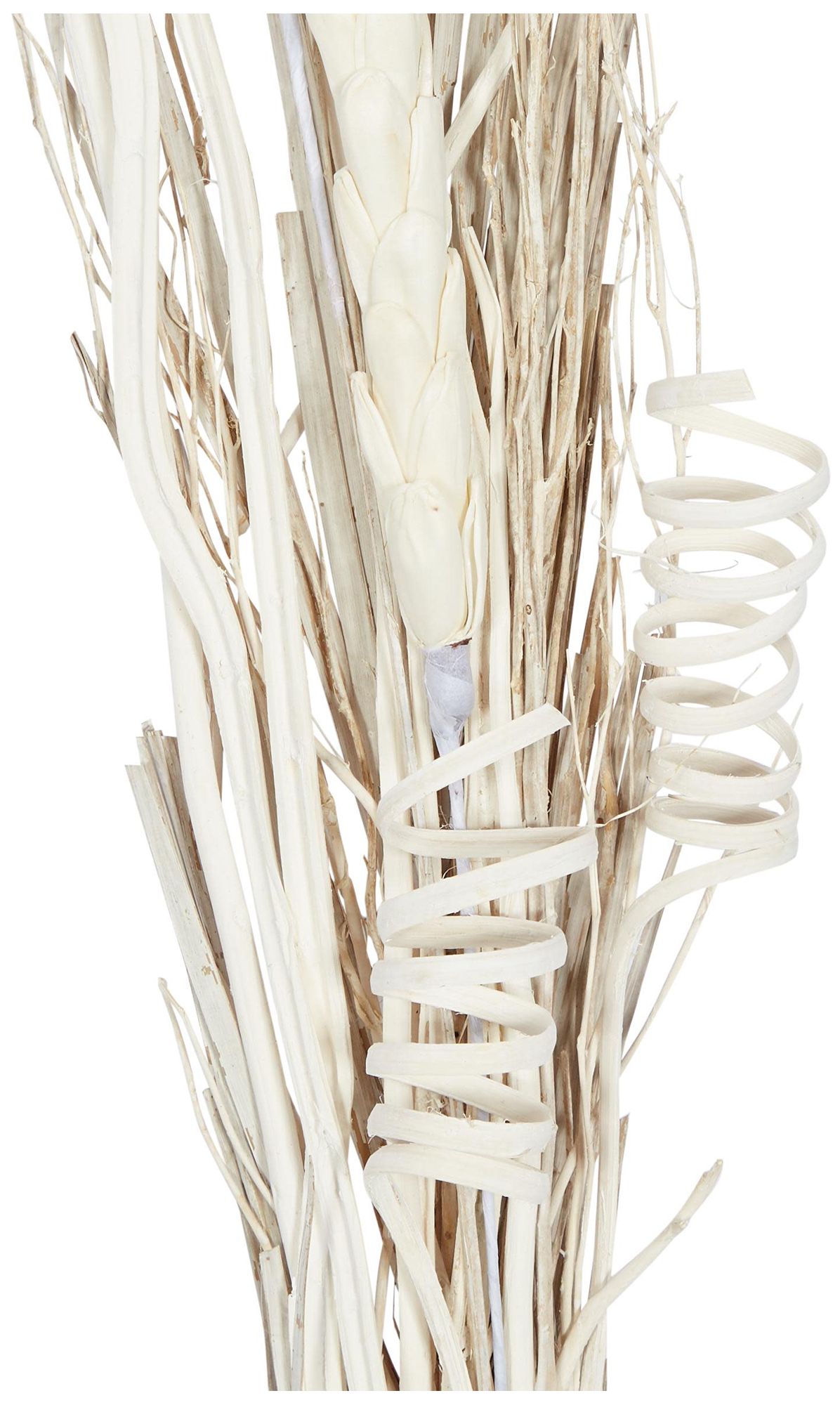 Image 3 Brown Dried Plant Coastal Natural Foliage, S/2 7"W, 56"H more views