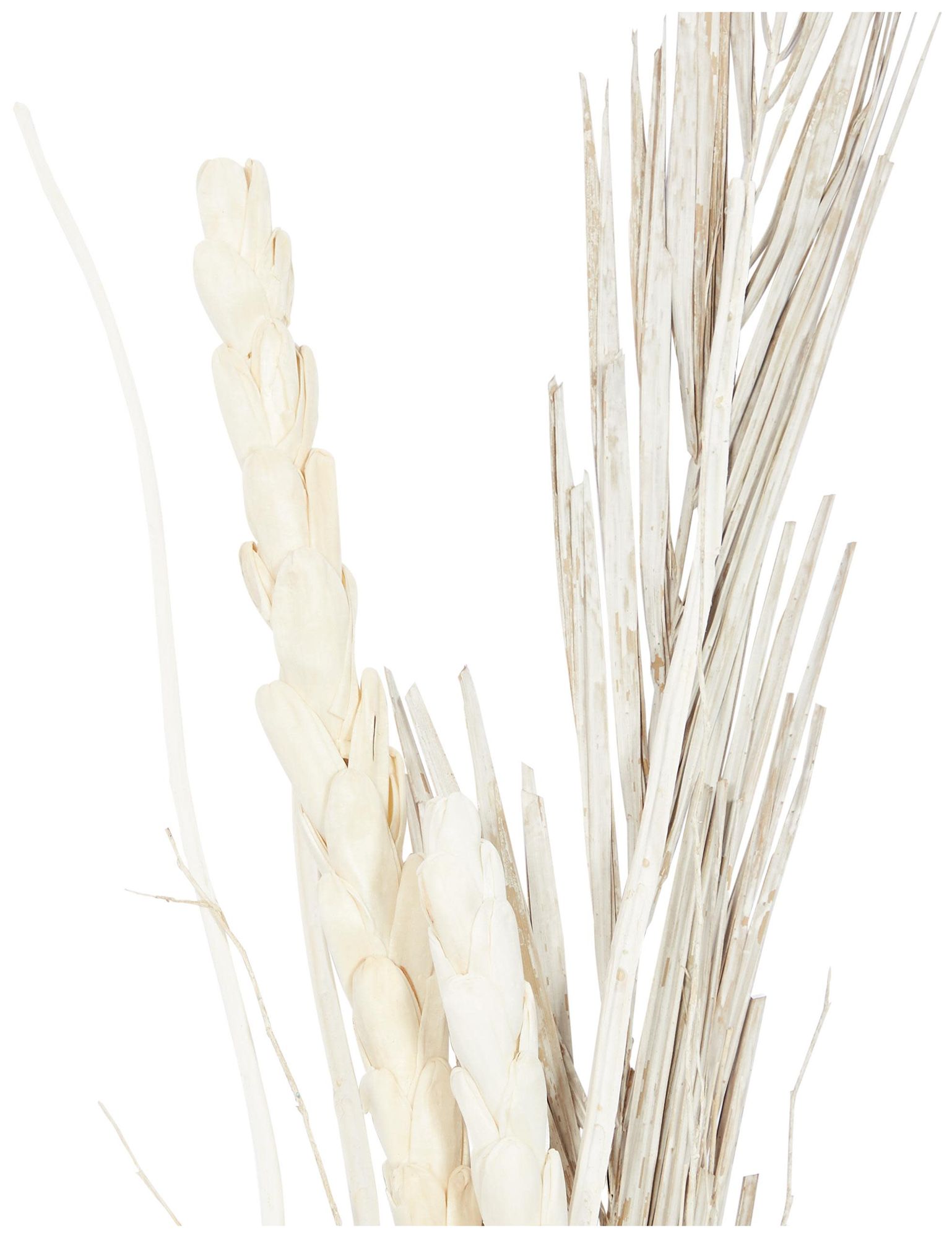 Image 4 Brown Dried Plant Coastal Natural Foliage, S/2 7"W, 56"H more views