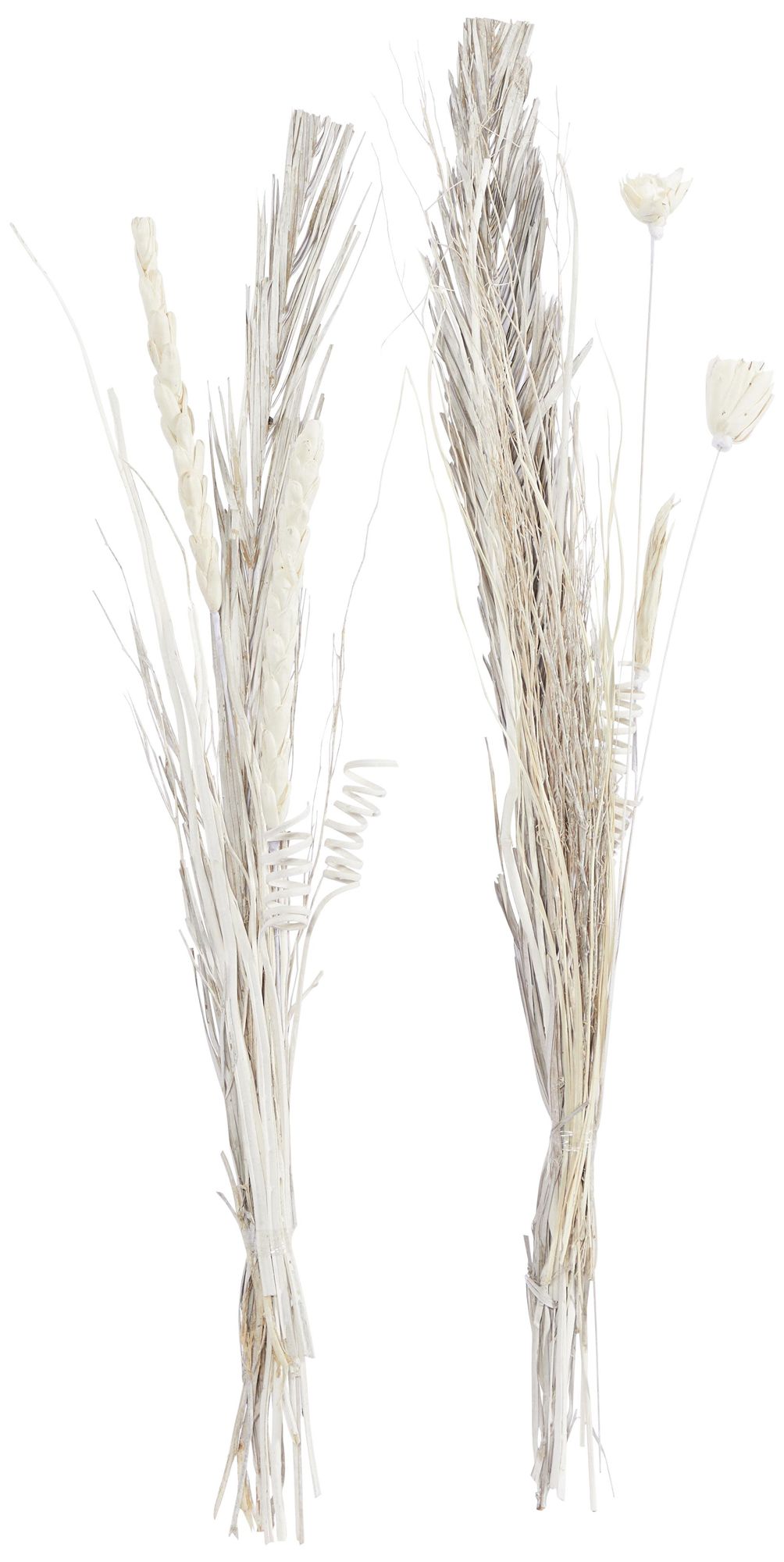 Image 6 Brown Dried Plant Coastal Natural Foliage, S/2 7"W, 56"H more views