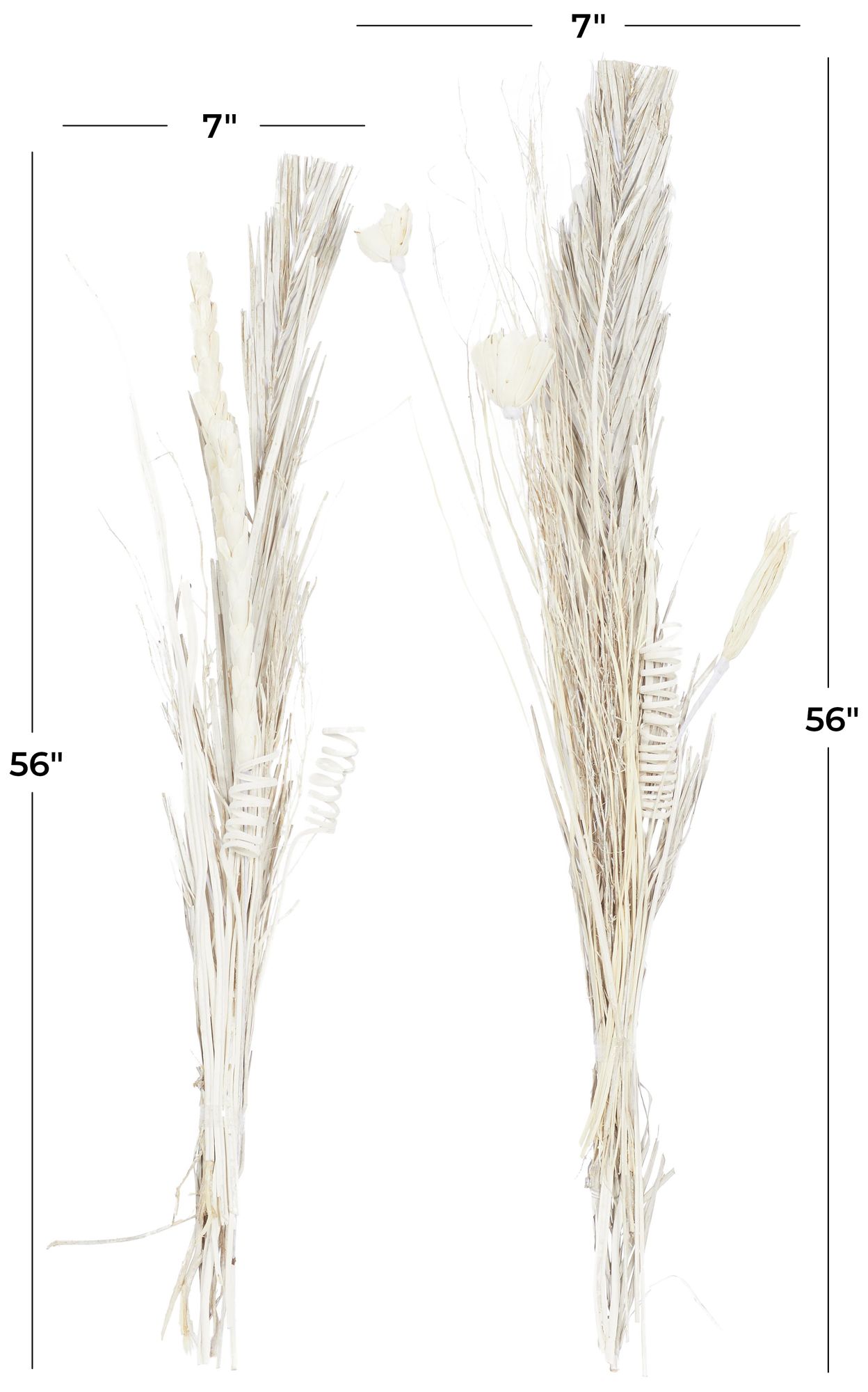 Image 7 Brown Dried Plant Coastal Natural Foliage, S/2 7"W, 56"H more views