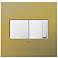 Brushed Brass 2-Gang Cast Metal Wall Plate with Switch and Dimmer