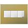 Brushed Brass 3-Gang Metal Wall Plate with 2 Switches and Dimmer