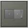Brushed Pewter 2-Gang Cast Metal Wall Plate w/ Switch and Dimmer