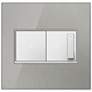 Brushed Stainless Steel 2-Gang Wall Plate w/ Switch and Dimmer