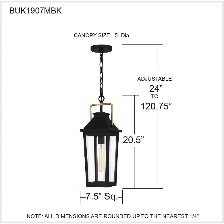 Image 6 Buckley 1-Light Matte Black Outdoor Hanging Lantern more views