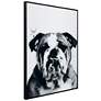 5_Bulldog 24"x18" Rectangular Printed Glass Framed Wall Art more views