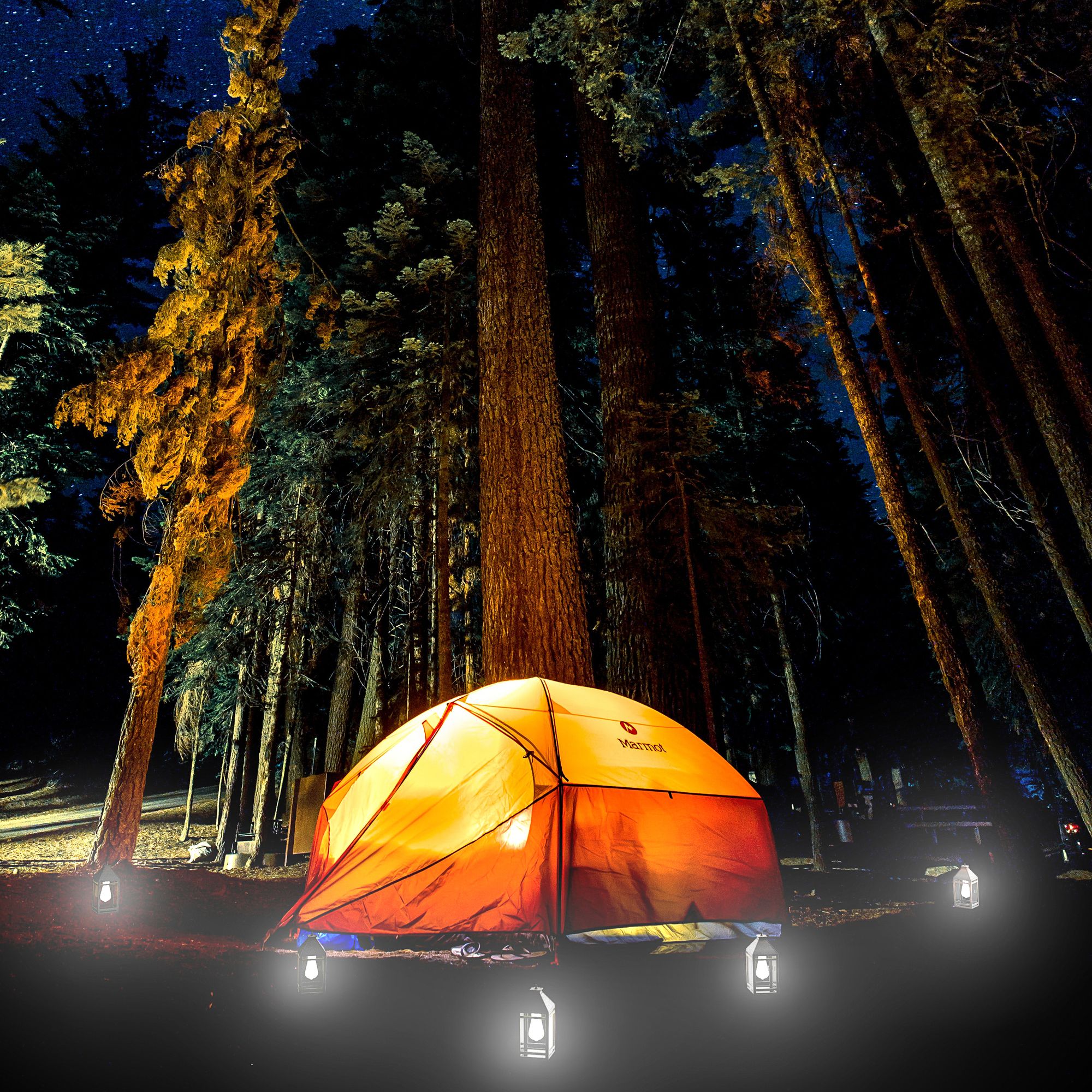 Burk 13" High Black Dual Modes LED Hanging Light