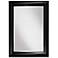 Burkley Black 26" x 36" Rectangular Wall Mirror