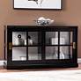 Burland 48" Wide Black 2-Shelf Curio Cabinet