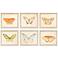 Butterflies 13"W x 11"H Framed Art Set of 6