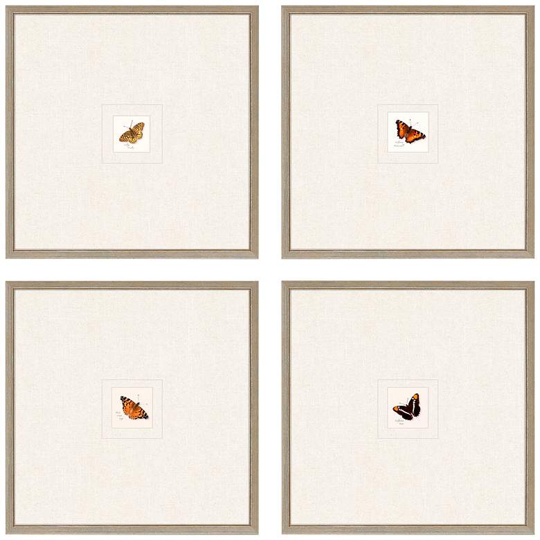 Image 3 Butterfly 21" Square 4-Piece Giclee Framed Wall Art Set