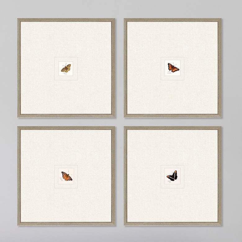 Image 2 Butterfly 21 inch Square 4-Piece Giclee Framed Wall Art Set